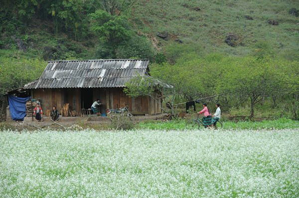 Một ngôi nhà đơn sơ trong bản. Ảnh: Phunuhiendai.com.vn