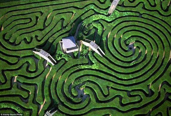 Mê cung Longleat, Wiltshire, Anh: Với gần 3 km đường đi được tạo từ 16.000 cây thủy tùng, mê cung này là điểm đến hấp dẫn với nhiều du khách.