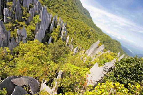 Vườn Quốc Gia Gunung Mulu, Borneo, là một trong những di sản thiên nhiên thế giới 