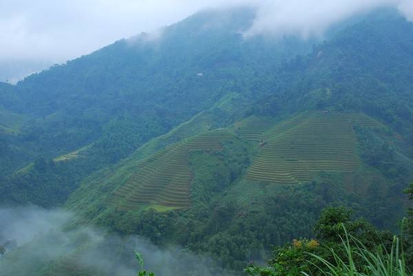 Và dù đến Hà Giang vào bất cứ mùa nào trong năm, du khách cũng bị hấp dẫn bởi màu sắc của núi rừng.