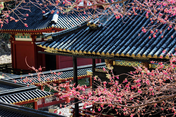 Một góc đền Kunozan Toshogu. Ảnh: ambahnz.deviantart.com