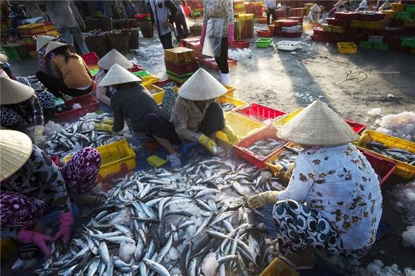 Cảng cá Long Hải là nguồn cung cấp hải sản chính của khu vực lân cận, trong đó có thành phố Hồ Chí Minh. (Ảnh: Nguyễn Vũ Phước)
