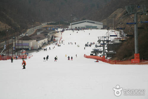 Khu trượt tuyết Elysian Gangchon mở cửa từ 9h đến 4h sáng hôm sau. Vé đi thang máy là 12.000 đến 70.000 won. Tiền thuê đồ trượt tuyết thay đổi theo thời điểm và tính riêng. Dù là người mới học trượt, chơi ở mức trung bình hay cấp chuyên nghiệp, bạn đều có thể trải nghiệm đường trượt dài 1 km ở đây. Ảnh: visitkorea.