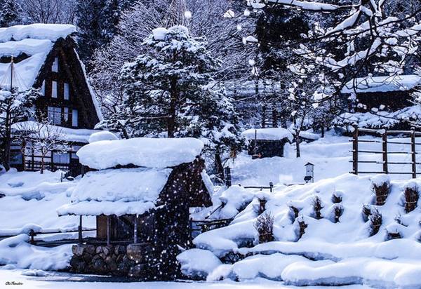Vào mùa đông, tuyết phủ trắng xóa trên những tòa nhà, cây cối.