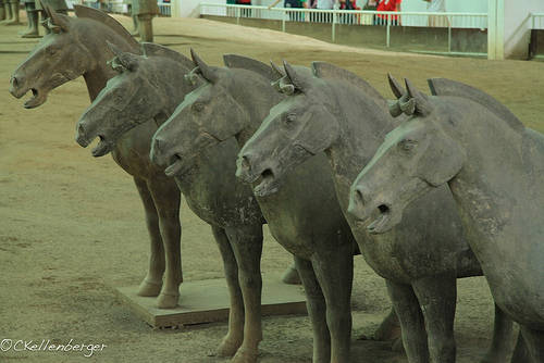 Du lich Trung Quoc - Những chú ngựa cũng là một phần không thể thiếu, trong những phát hiện của lăng mộ.