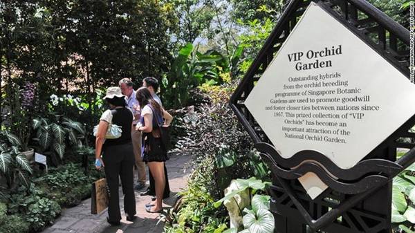 Nằm trong khuôn viên Vườn thực vật, Vườn phong lan quốc gia có một trong những bộ sưu tập phong lan lớn nhất thế giới, với hơn 450 loài. Khu VIP có những loài lai tạo được đặt tên theo các ngôi sao và nguyên thủ quốc gia từng tới thăm Singapore.