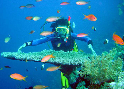 Hòn Mun vẫn là nơi nổi danh để lặn biển ở Nha Trang vì ở đây du khách có thể lặn xuống chiêm ngưỡng vẻ đẹp của hơn 300 loài san hô và cả ngàn loài cá đang sinh sống.