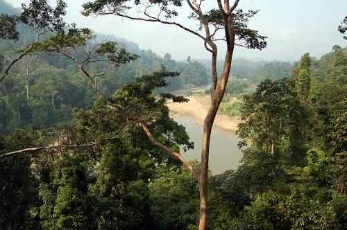 Vườn quốc gia Taman Negara nằm ở phía Tây Bắc Malaysia với tổng diện tích khoảng 4.343 km2.