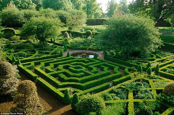 Dinh thự Hatfield, Hertfordshire, Anh: Khu vườn màu nhiệm Sunken Knot có một mê cung nhỏ nhưng tuyệt đẹp, sử dụng cây hoàng dương để tạo hình. 