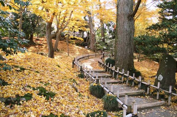 Công viên Kenrokuen mùa thu.