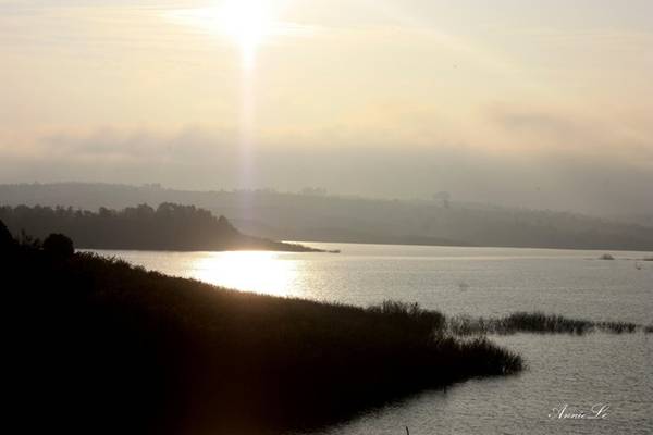 Nắng sớm bên hồ Đại Ninh.