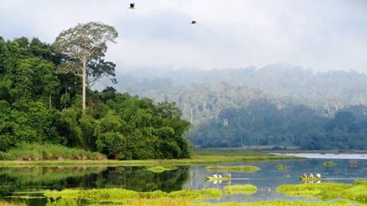 Được UNESCO công nhận là khu dự trữ sinh quyển của thế giới, Nam Cát Tiên không khiến những người yêu thiên nhiên hay đang tìm kiếm cơ hội gần gũi với thế giới tự nhiên thất vọng, bởi cảnh sắc xanh tươi với nhiều loài động thực vật đa dạng. (Nguồn: Internet)