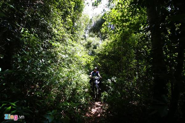 Chạy sâu vào rừng với những con đường chỉ chừng hơn nửa mét mới đến được thác Păng Tiêng. Xe máy, xe đạp là phương tiện tốt nhất để di chuyển.