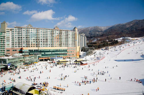 Công viên tuyết Wellihilli mở cửa từ 8h30 đến 4h sáng hôm sau. Giá vé đi thang máy vào khoảng 14.000 đến 85.000 won. Công viên này có sức chứa lên tới 20.000 người trượt mỗi giờ với hệ thống trang thiết bị tự động hiện đại. Ảnh: tripstokorea.