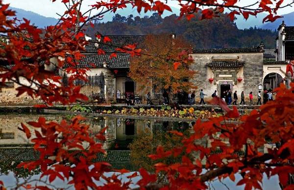 Công viên Hương Sơn (Xiangshan Gongyuan). Đây có lẽ là nơi khiến hơi thu nóng bỏng nhất Bắc Kinh bởi sắc đỏ của rừng Phong. Ảnh: Tengxun