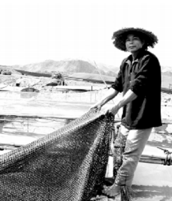 Thu hoạch cá lồng nuôi trên lòng hồ sông Đà ở Quỳnh Nhai Nghề cá trên sông Đà.