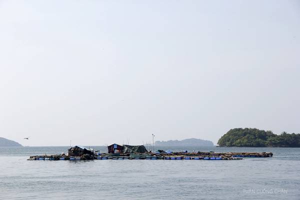 Bè nuôi hải sản ở trên đảo. Ảnh: Cuongchan.com