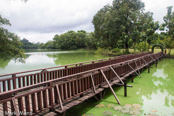 Không gian xanh mát tại công viên Kandawgyi.