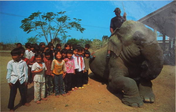 Các em nhỏ ở Đắk Lắk chụp hình chung với voi - Ảnh: Niimura Yoko