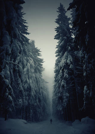 Rừng cây khổng lồ bị tuyết trắng bao phủ ở CH Séc.