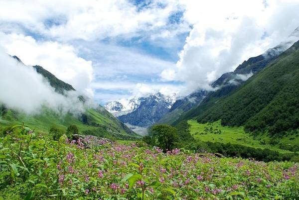 17. Ẩn mình trong dãy Himalaya, thung lũng hoa thuộc bang Uttarakhand với hơn 300 loài hoa nở tự nhiên tựa như một tấm thảm đầy màu sắc vắt ngang núi rừng. Ảnh: Alosh Bennett