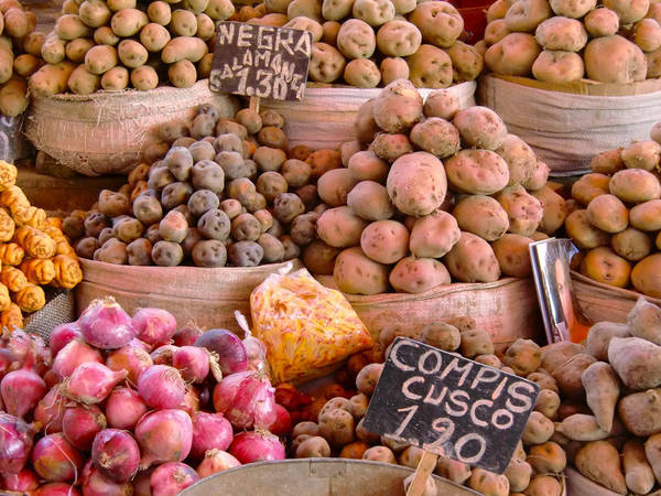 Du lich Peru - Nếu bạn là fan hâm mộ của những món khoai tây, thì Peru có tới 4.000 loại giống khoai tây khác nhau.