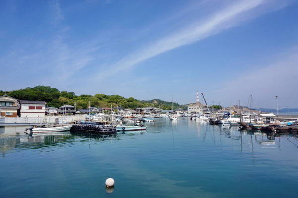  Bến cảng chính Miyanoura đầy ắp những chiếc thuyền du lịch neo đậu - Ảnh: thriftynomads