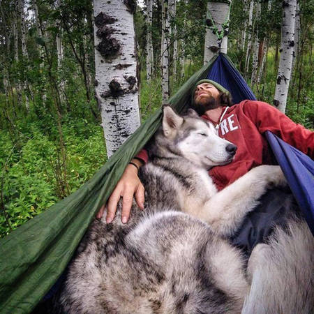 Kelly Lund 30 tuổi, sống tại Colorado, Mỹ luôn đưa chú chó Loki đi cùng mình trong những chuyến du lịch suốt 2 năm qua.