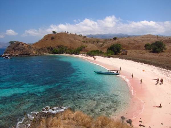 Đảo Rồng Komodo ở Indonesia không chỉ hút khách bằng loài thằn lằn khổng lồ trên đảo mà còn do những bãi biển cát hồng cực kỳ quyến rũ như Pantai Mer, Red Beach... Sắc hồng cát biển kết hợp hoàn hảo giữa cát trắng cùng san hô đỏ, vỏ sò hồng, bọt biển... Ảnh: Gotsaga.
