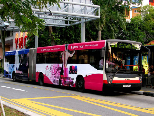Các phương tiện giao thông công cộng ở Singapore rất phát triển và dễ sử dụng. Ảnh: sgforums.com