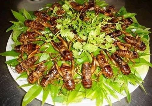 Ẩm thực Việt - côn trùng - iVIVU.com