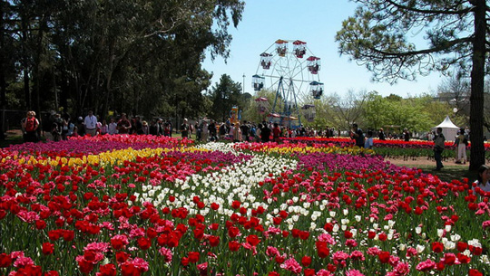 Lễ hội hoa Floriade - Hà Lan