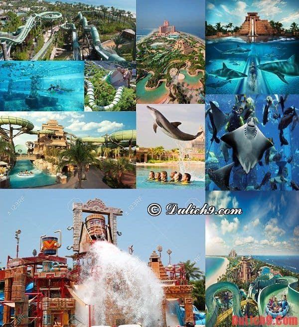 Công viên nước Aquaventure Park - Địa điểm vui chơi, giải trí không thể không ghé qua khi du lịch Dubai