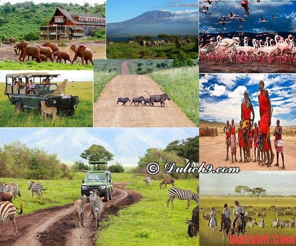 Những điểm tham quan du lịch nổi tiếng Kenya nhất định phải đến một lần