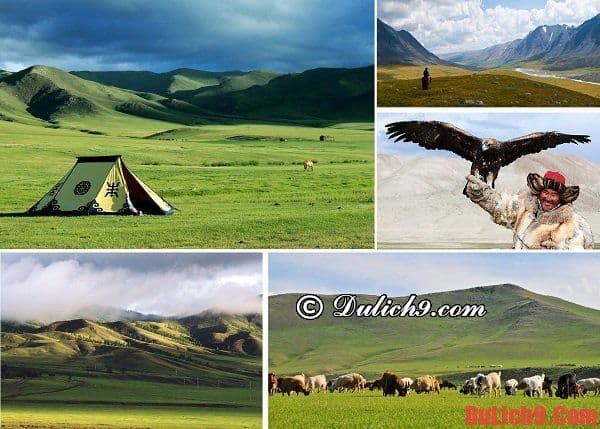 Thảo nguyên Kharkhorin - Điểm đến nổi tiếng phải đến khi du lịch Mông Cổ. Địa điểm du lịch nổi tiếng ở Mông Cổ