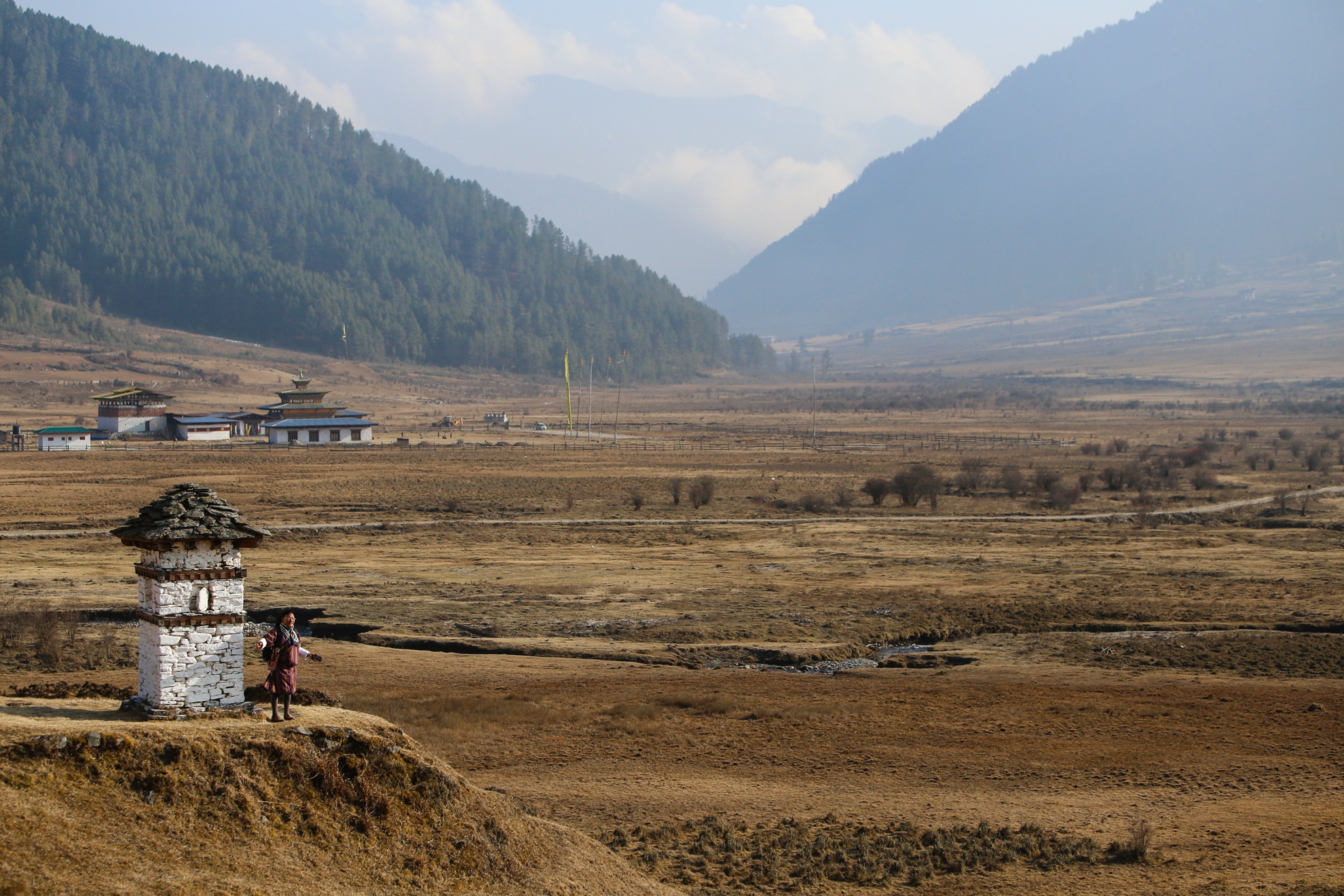 San seu o Phobjikha Bhutan anh 6