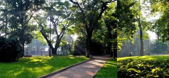 Thảo Cầm Viên: Khu vực xanh rộng nhất ở ngay trung tâm thành phố, với những rừng cây nhiều năm tuổi cao to rợp bóng mát, nhiều bãi cỏ xanh, giá vé vào cổng lại khá mềm.