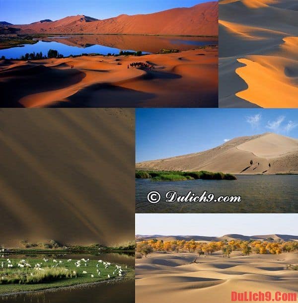 Sa mạc Badain Jaran - Du lịch Trung Quốc chiêm ngưỡng vẻ đẹp của sa mạc lớn nhất Trung Quốc