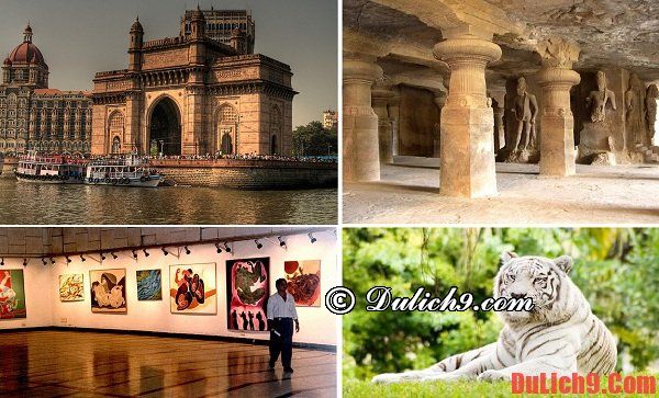 Những địa danh du lịch nổi tiếng nhất định phải đi khi du lịch Ấn Độ - Du lịch Ấn Độ nên đi đâu?