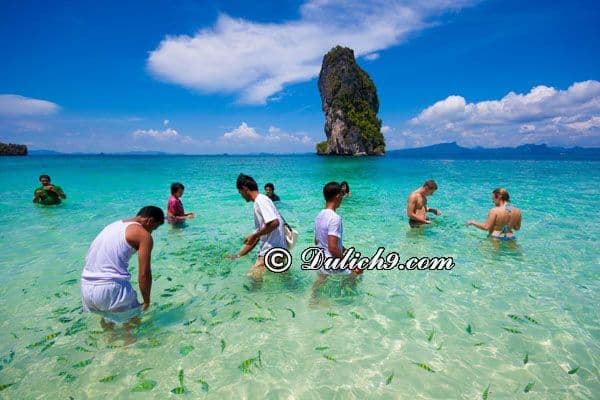 Địa điểm tham quan ở Krabi Ao Nang/ Đi đâu, chơi gì khi du lịch Krabi? Kinh nghiệm du lịch Krabi Ao Nang