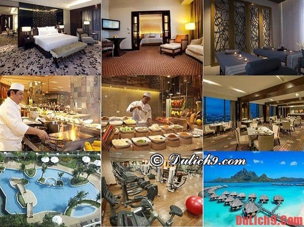 Những khách sạn cao cấp, chất lượng và đẹp nên ở khi du lịch Cebu, Philippines