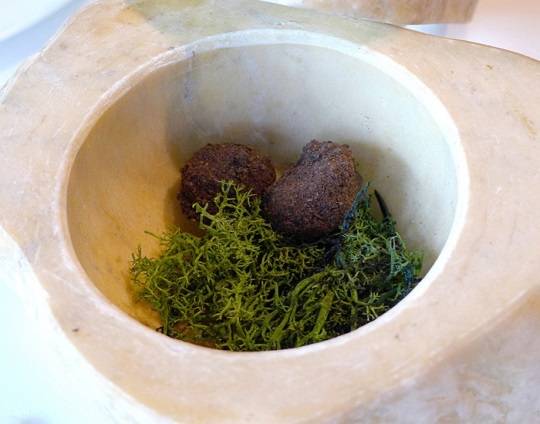 Nấm truffle đen được giới thiệu riêng trên một chiếc bát bằng đá kèm rêu. Vị giòn tan và cảm giác cực kỳ thiên nhiên là nhận xét của nhiều thực khách khi ăn món này.