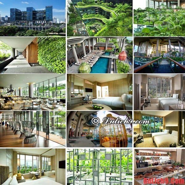 Khách sạn đẹp, tốt và tuyệt vời nhất Singapore