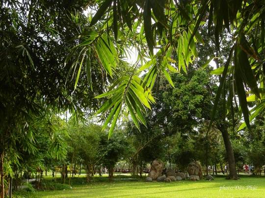Công viên Gia Định: Một công viên xanh siêu to. Thích hợp cho những ai sống gần khu vực quận Gò Vấp, Tân Bình, Phú Nhuận.