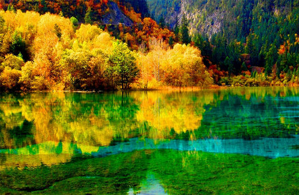 Những thảm lá vàng rực rỡ hòa quyện trong màu xanh của sông suối khiến cảnh sắc thiên nhiên như một bức tranh.