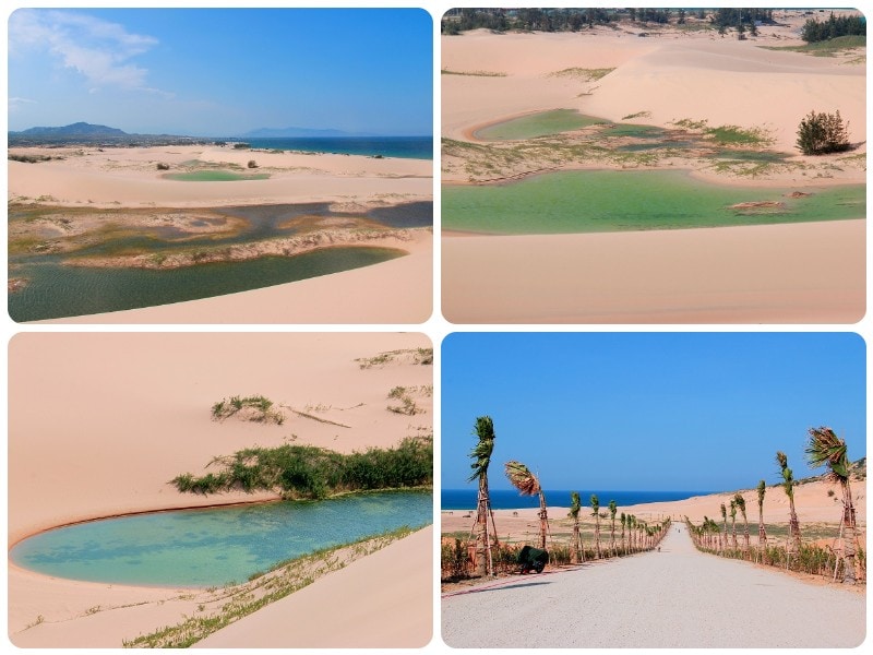 Địa điểm du lịch đẹp ở Ninh Thuận, đồi cát Sơn Hải