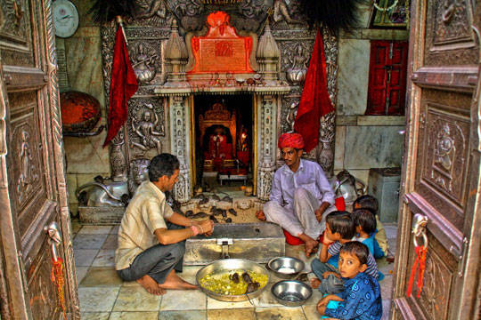 Du lịch Ấn Độ - đền thờ chuột - iVIVU.com