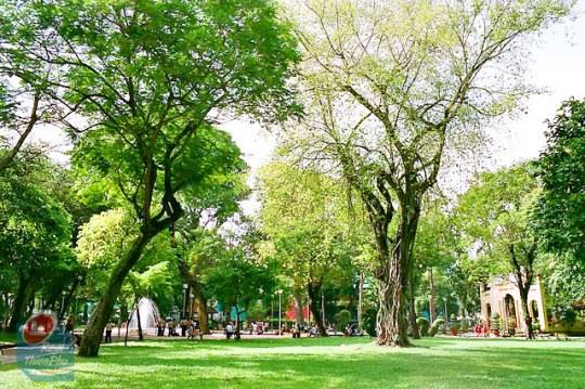 Công viên Tao Đàn: Không gian xanh mát nhưng vẫn gần gũi với cuộc sống nhộn nhịp bên ngoài.