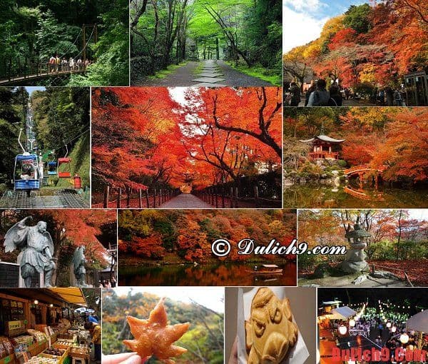 Núi Takao - Điểm tham quan nên đến khi du lịch Nhật Bản tự túc