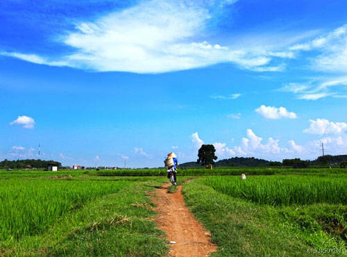 Những cánh đồng quê xanh mướt mát, dài tít tắp luôn là điểm đến thú vị của những du khách muốn rời xa chốn náo nhiệt. Ảnh: nhagovietnam